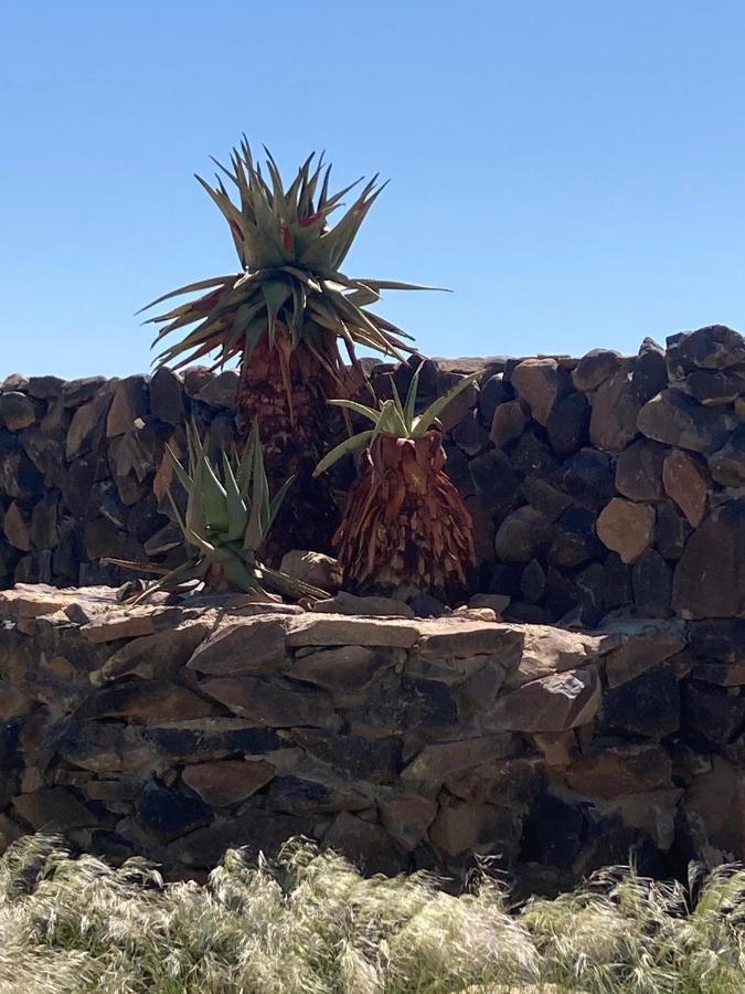 3 Aloes Guesthouse Uis Eksteriør billede