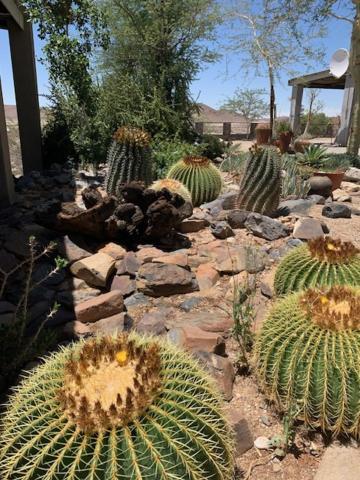 3 Aloes Guesthouse Uis Eksteriør billede
